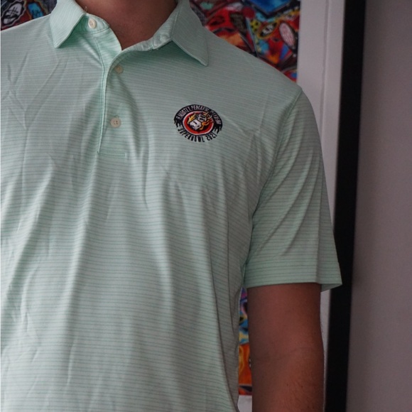 Greg Norman Polo Shirt Men's Medium Golf Striped Green - Picture 2 of 6